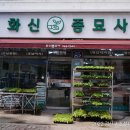 영광농약종묘사