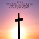 생수의강 이미지