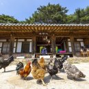 비앤비산청