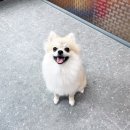 나리유치원 이미지