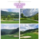 오투투어여행사