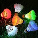 배드민턴(야간) 이미지