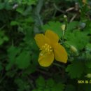 양지어린이집 이미지