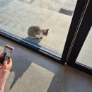 스몰타운 | [내돈내산] 아산 스몰타운커피 후기