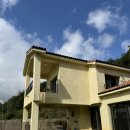 우리들애견 | [강화] 애견 운동장 🐶 디어 스페이스 내돈내산 후기 💸