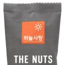 크센디자인