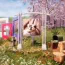 펫플래닛 이미지