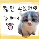 안씨네 전 이미지