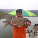 안골 낚시터 이미지