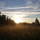 큰소낭 작은돌집 이미지