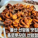 종로쭈꾸미선암동점 | 울산 선암동 맛집 울산대공원 남문 근처 종로쭈꾸미 선암동점 솔직후기