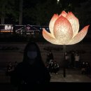 다와신토불이 | 애정하는 5월