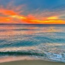 우리들공인중개사사무소 이미지