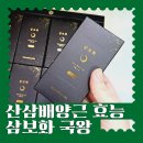 자연산 산삼 효능 배양근 복용법 삼보화 4주 섭취 후기