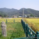 사곡리남근석 이미지