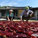 인동2리 이미지