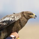 초원태양광 이미지