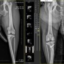 동그라미 동물의료센터 이미지