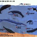 낙산 귀신고래