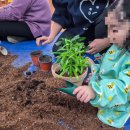 금마초등학교병설유치원 이미지
