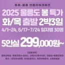 썬플라워 이미지