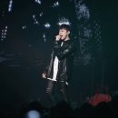 더베인 이미지