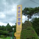 청송보양탕