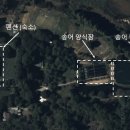 솔치송어파티;솔치송어횟집