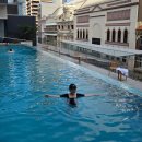 주)파란시티 | 브리즈번시티 숙소 추천, 하얏트 리젠시 호텔 후기