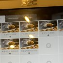 카페 인 타코야키 이미지