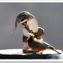 신선