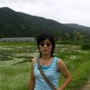 원불교 연꽃방죽 이미지