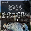 국내 뚜벅이 여행 추천ㅣ울산고래축제 두 번째 이야기, 고래문화마을