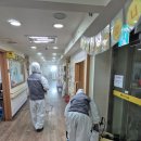 부산 사상구 건물관리 잘하는 안심케어 해충방제 소독 전문업체 그린하우스방역입니다.