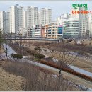 종촌동_소망교회 옆 네이버블로그