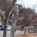 삼계농장 이미지