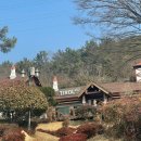 티롤978 | 클래식한매력의경양식집/티롤978/여수티롤레스토랑/내돈내산후기