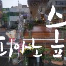 피아노숲 이미지