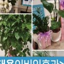 김태용이비인후과의원 이미지