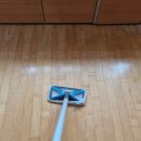 디아뜨2 이미지