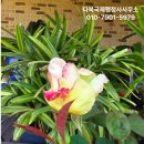 다복행정사사무소 이미지