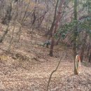 태광산업 앞 | 구서동 법고산(태광산업~동래베네스트CC)