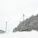 행복목장 이미지