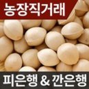 박경철농장 이미지