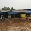 차강농장 이미지