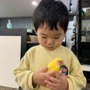 광주 북구 아이랑 ) 광주 북구 광주앵무새카페 광주앵카페