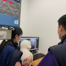 아이러브 동물병원 이미지