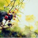 전망좋은집 이미지