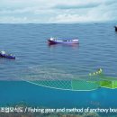 기선권현망수산업협동조합(멸치권현망수협) 이미지