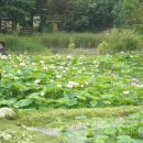 능내1리 이미지